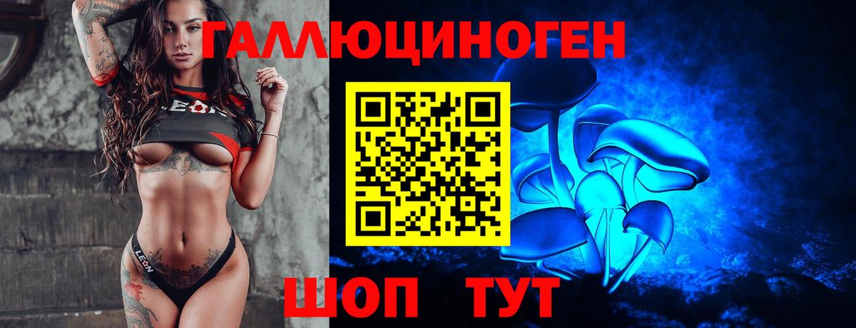 Волхов  Псилоцибиновые грибы GOLDEN TEACHER  Вход с VPN  Псилоцибиновые грибы Psilocybine cubensis 