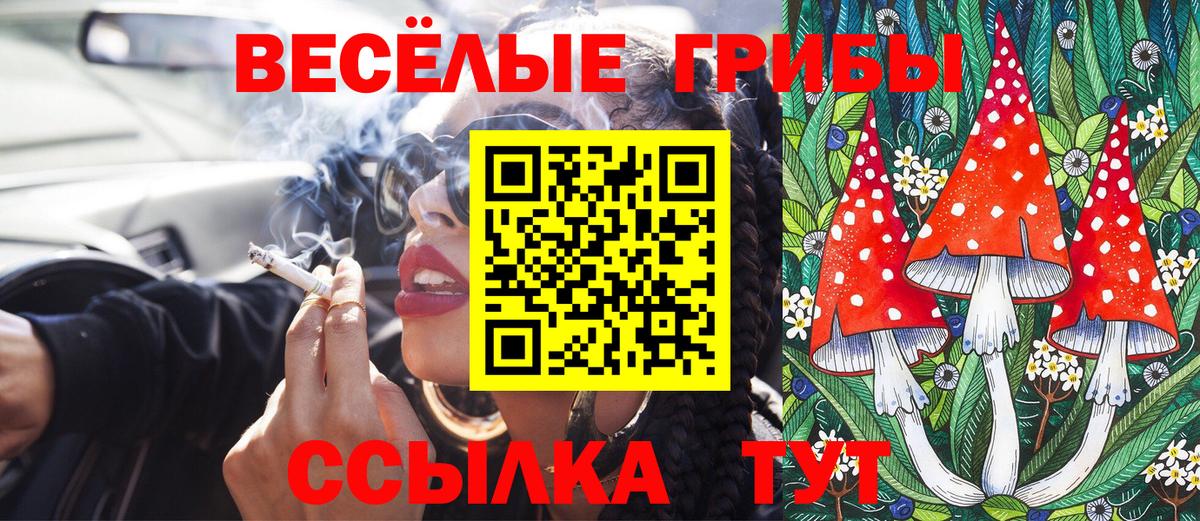 Галлюциногенные грибы Psilocybe Волхов